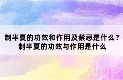 制半夏的功效和作用及禁忌是什么？ 制半夏的功效与作用是什么